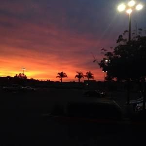 Meet your Posher, Ellen